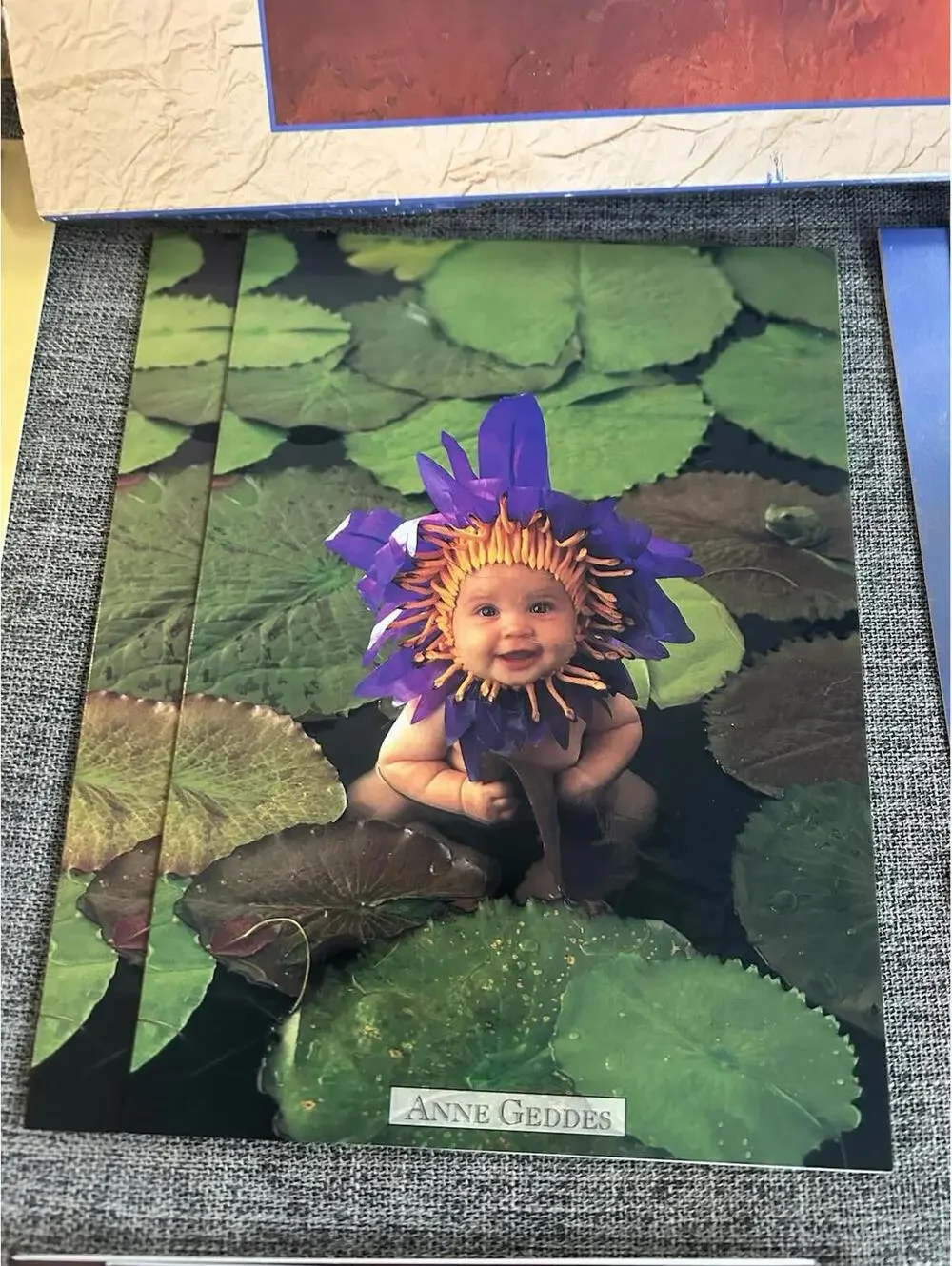 Anne Geddes there are